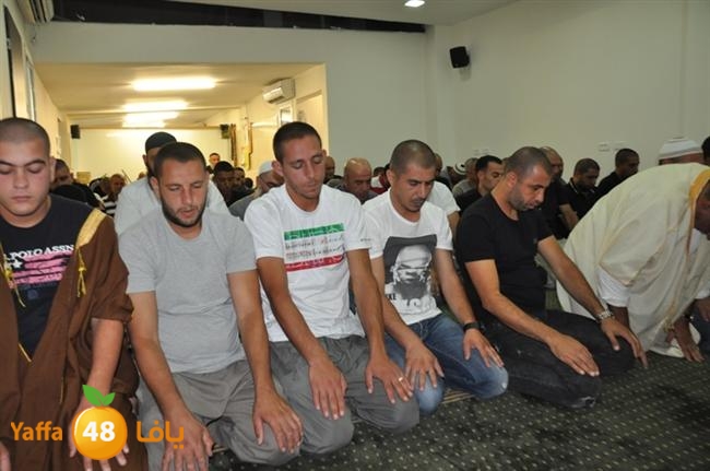 tarawee7 fateh mosqueeq (14).JPG